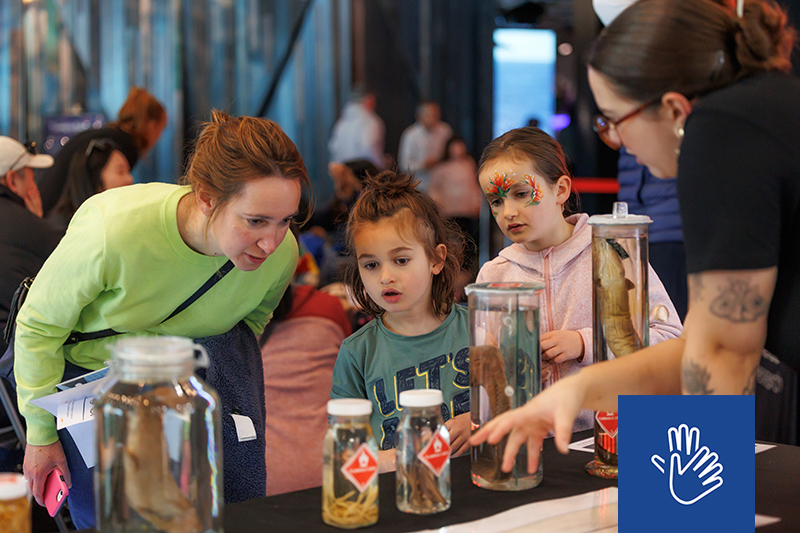 Two children and an adult closely examine preserved specimens in jars at an event with a museum kaimahi (staff member) explaining the display. There is an NZSL logo in the bottom right corner.